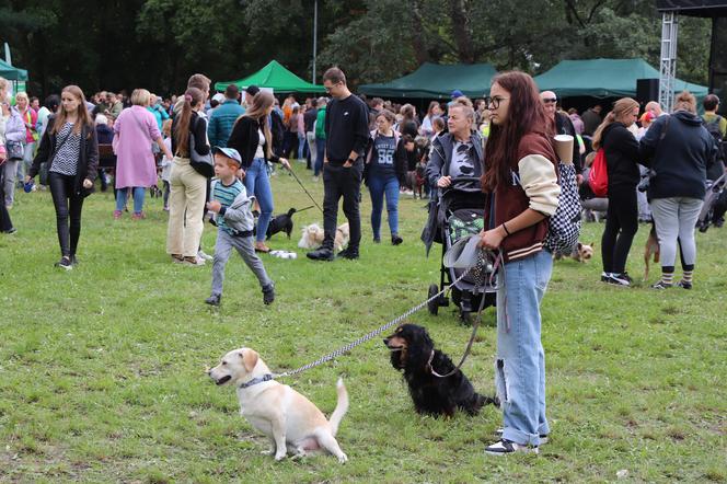 IX Piknik Przyjaciół Schroniska w Toruniu