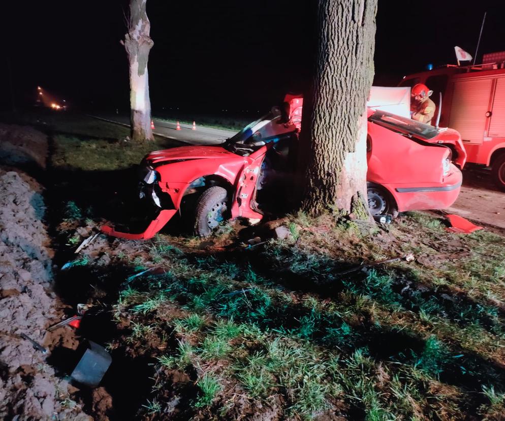 Śmiertelny wypadek w Orszewicach pod Łęczycą