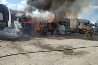 Pożar pod Wołominem. Wielki dym zaczął buchać z tira, kłęby dymu wystrzeliły w górę