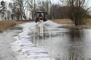 Wyspa Chrząszczewska
