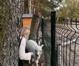 Zagroda 3 siostry w Kamieniu przyciągnęła całe rodziny w ciepły jesienny weekend ZDJĘCIA