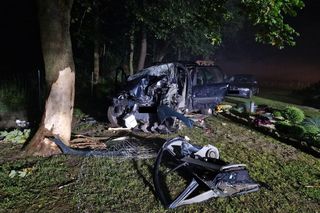 Rabinówka. Pijana 22-latka bez prawa jazdy uderzyła w ogrodzenie i drzewo