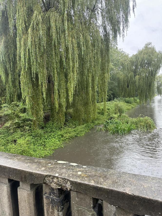 Brynica woj. śląskie - Sosnowiec, Stawiki