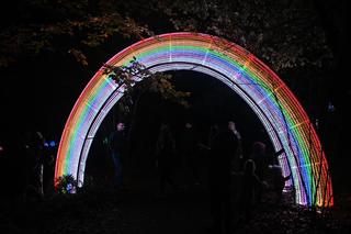 Wystawa Magiczny Botaniczny w Warszawie