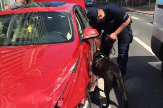 Potrącił policjantów podczas kontroli