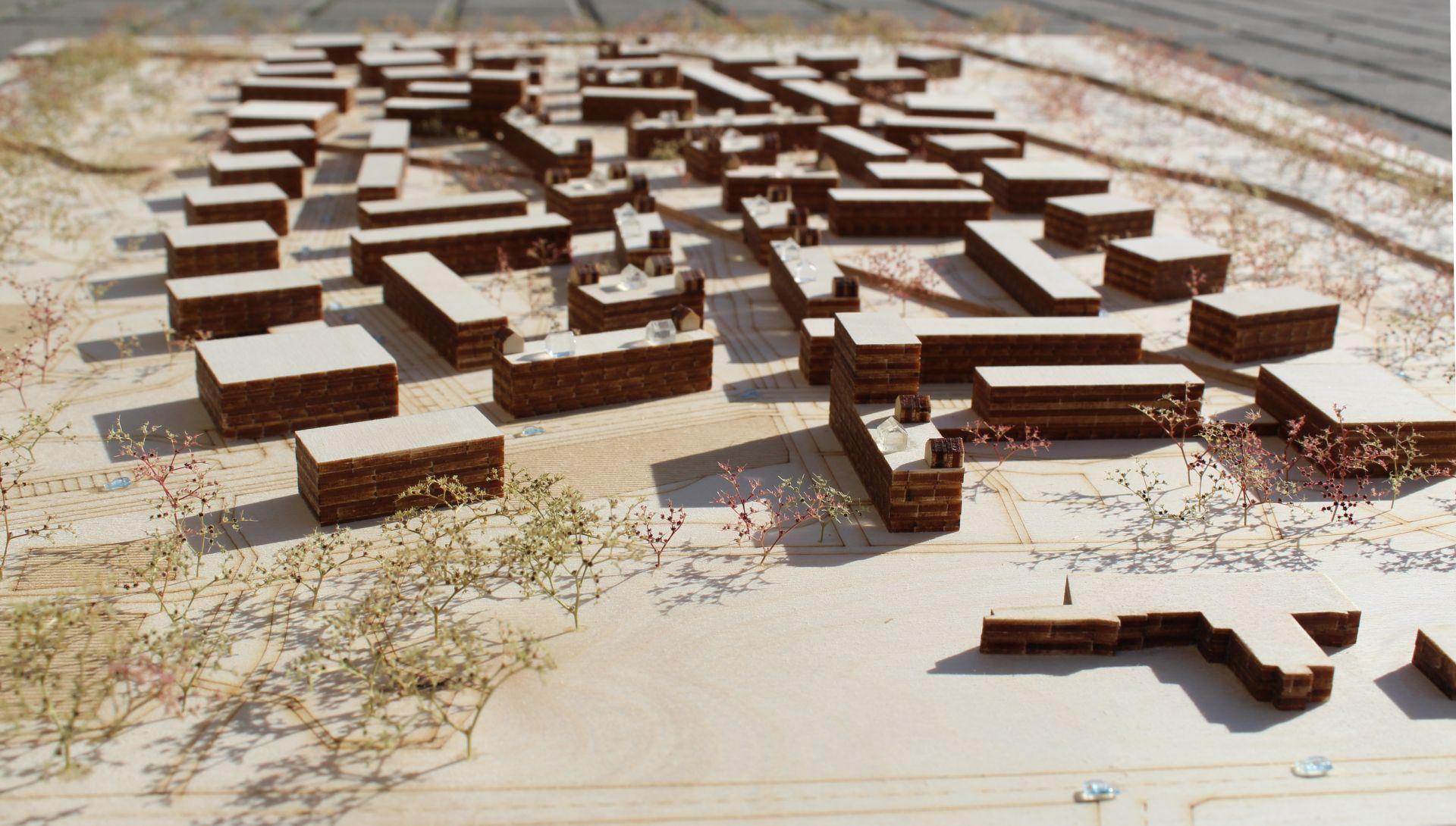 Pierwsze w Polsce osiedle z drewna: wyniki konkursu architektonicznego