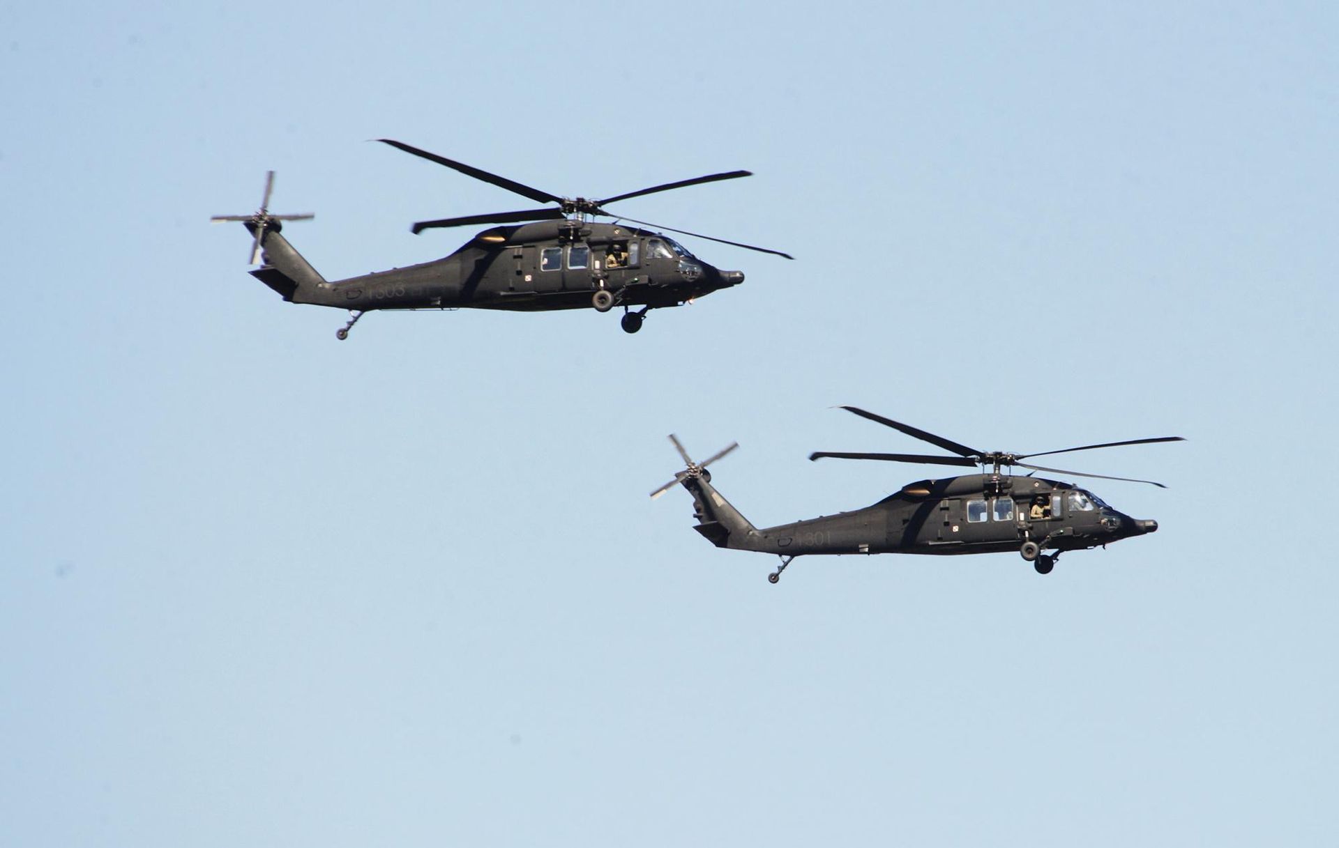 Black Hawk