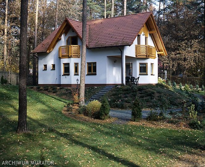 Ogrod na zalesionej dzialce