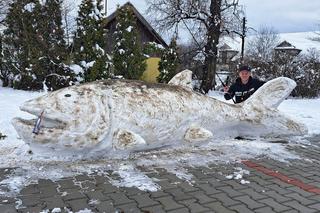 Ulepił ze śniego gigantyczne ryby