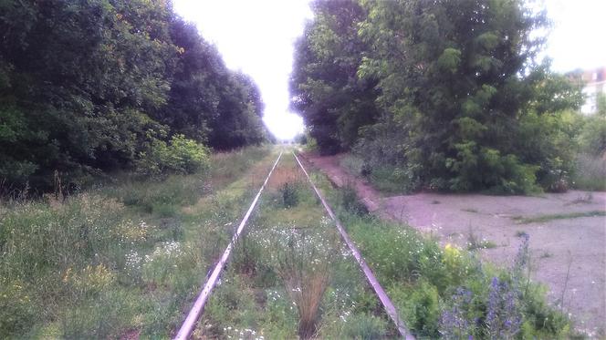 Dworzec Toruń Północny czeka na lepsze czasy. Obecnie to niszczejąca melina