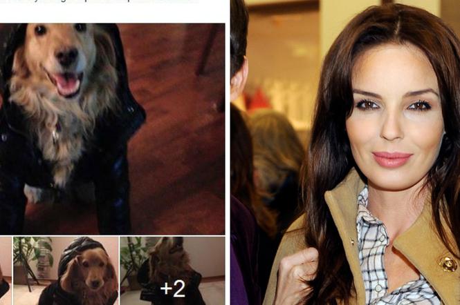 Agnieszka Włodarczyk ubiera psy w dziecięce kurteczki