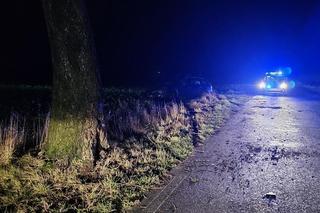 30-latek z województwa opolskiego zatrzymany po obławie. Chwycił za siekierę, groził podpaleniem domu i potrącił policjanta