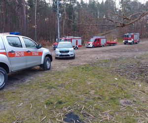 Zaździerz. Mężczyzna utonął w czasie ratowania swojego samochodu. Śmiertelny wypadek [ZDJĘCIA]