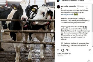 Rolnicy. Podlasie. Ewelina i Wojtek to nowi bohaterowie serialu. Mają potężne gospodarstwo