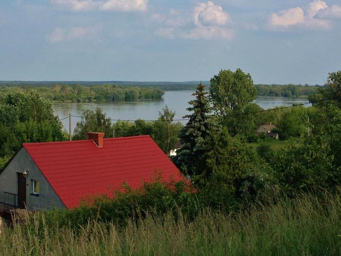 Podnosi się poziom Wisły - Kucerz koło Włocławka