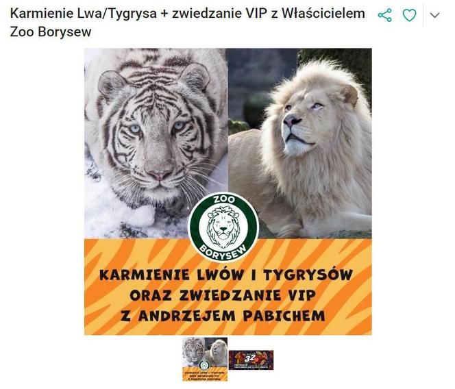 Karmienie lwa lub tygrysa i zwiedzanie VIP Zoo Borysew