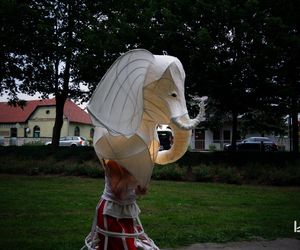 Impreza Wianki nad Krzną odyła się w Łukowie już po raz siódmy
