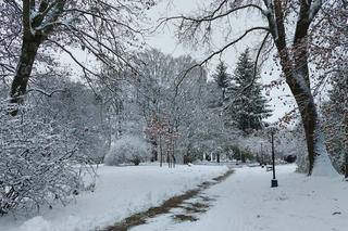 Zima w Zamościu. Śnieżna kołderka okryła miasto! Zobacz zdjęcia