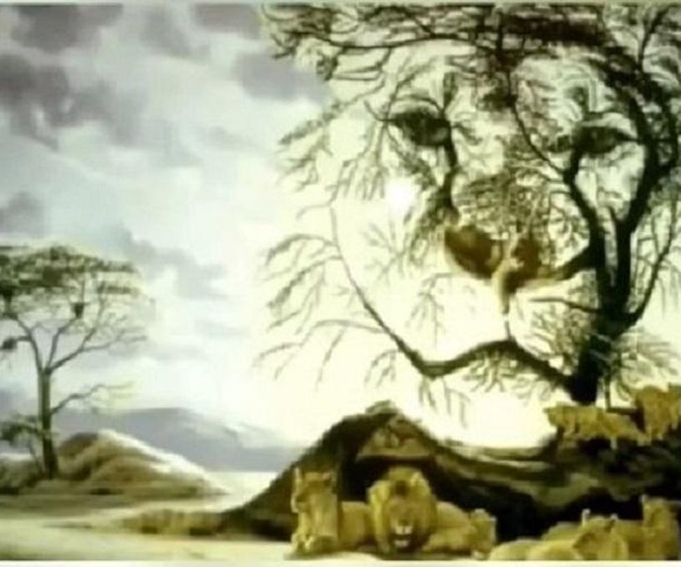 Czy ludzie darzą Cię sympatią? Spójrz na obrazek. W 2 sekundy dowiesz się, co o Tobie myślą. Test na osobowość