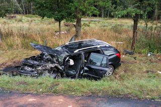 Siedem osób rannych, lądowały trzy śmigłowce. Wypadek pod Lesznem