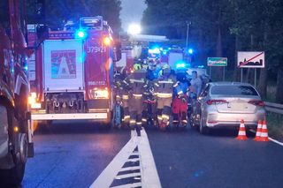 Przytoczna. Śmiertelny wypadek na DK 24. 49-latek nie żyje [ZDJĘCIA].