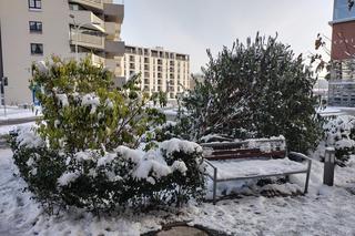 Takiej zimy we Wrocławiu  nie było od kilku lat. Zobacz te piękne ośnieżone miejsca