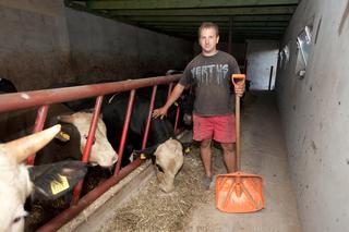 Nauczę prezesa jak obchodzić się z bykami