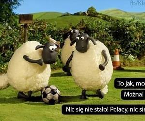 Memy przed meczem Polska - Wyspy Owcze