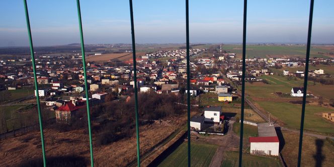 Widok z wieży widokowej