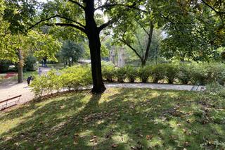 Jesień w Ogrodzie Krasińskich