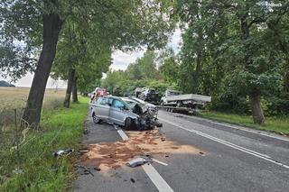 Tragedia pod Częstochową. Kierowca zginął po czołowym zderzeniu z lawetą