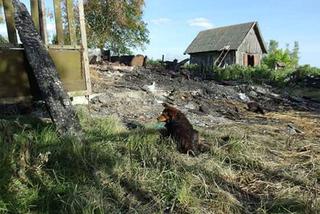 Czeka na pana, który nie żyje