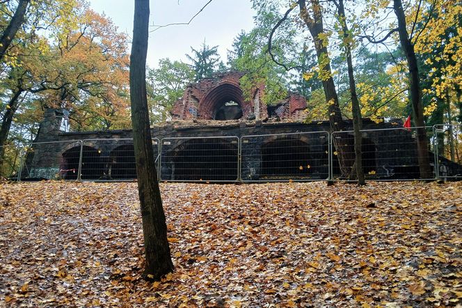 Porządkowanie terenu wokół wieży Quistorpa