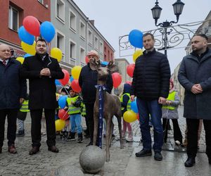 Jelonek stanął przy fontannie na ul. Długiej! Nowa atrakcja turystyczna Łomży poleca się do robienia zdjęć