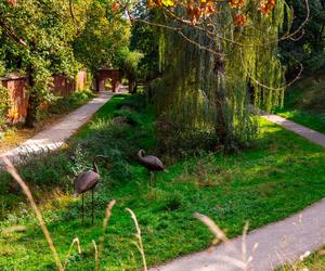 Park Fosa i Stoki Cytadeli w Warszawie