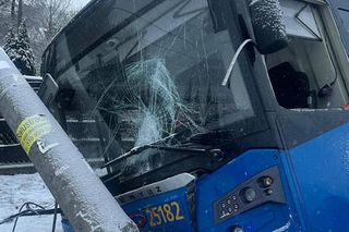 Pasażerowie przeżyli prawdziwe chwile grozy. Autobus zjechał do rowu i uderzył w słup!