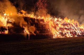 Strażacy gasili duży pożar w podgorzowskim Janczewie