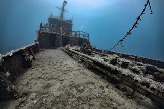 Od Morza Egejskiego po Śródziemne: kompletny przewodnik po nurkowaniu w Turcji