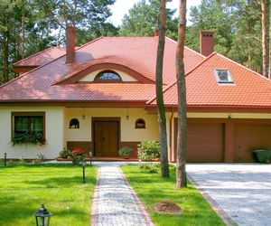 Idealny dach? Może być tani, trwały i bardzo efektowny. Zobcza nasze propozycje