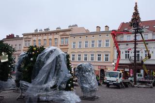 Trwa montaż świątecznej choinki na Rynku w Rzeszowie