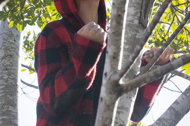 Justin Bieber na drzewie