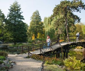 Najpiękniejszy ogród botaniczny w Polsce znów otwarty dla gości. Przygotuj się na widoki jak z bajki 