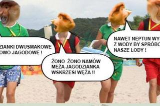 Wakacje trwają w najlepsze. Te memy rozbawią cię do łez!