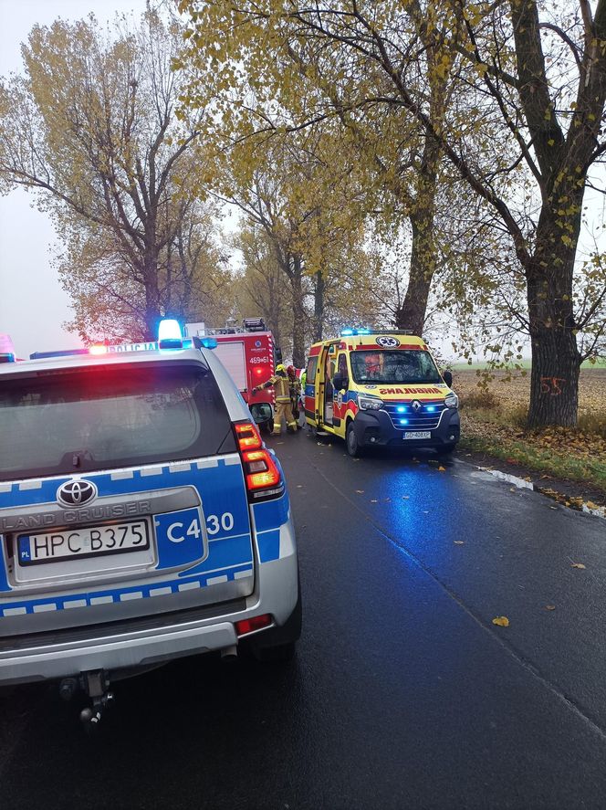 Tragiczny wypadek w Kobylnikach. Dwaj mieszkańcy Inowrocławia zginęli na drodze