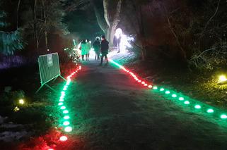 Lumina Park w Ogrodzie Botanicznym UMCS w Lublinie