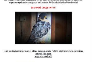 Wiesz kto mógł otruć sokoły? Jest nagroda za informację