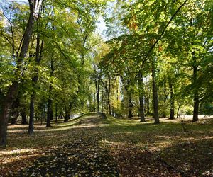 Złota jesień w jednym z najstarszych parków w Lublinie