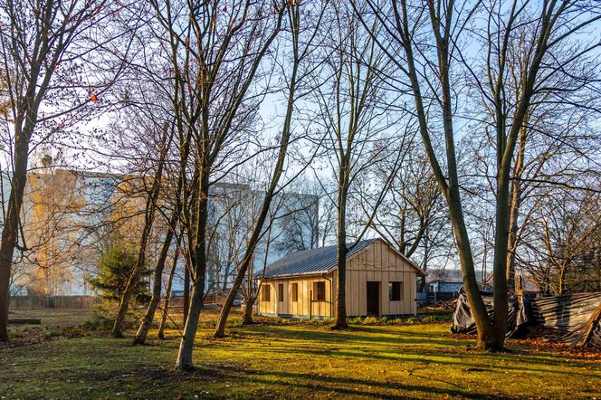 Odbudowa domków fińskich na Polu Mokotowskim