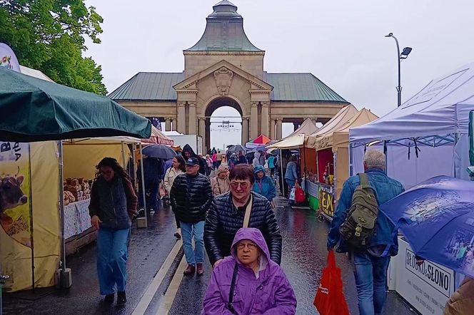 Kiermasz "Pamiętajcie o ogrodach"