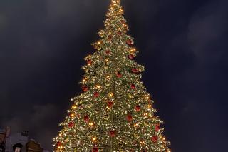 Warszawska iluminacja w śnieżny wieczór